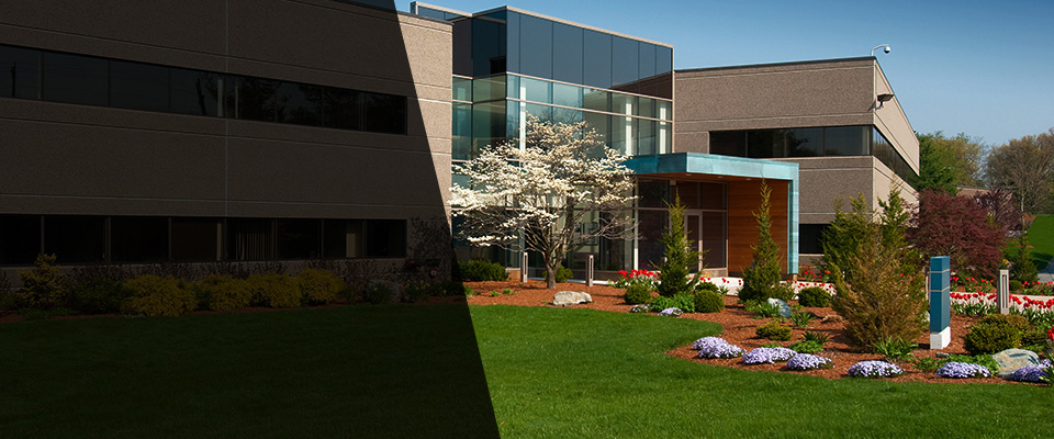 Walnut Creek Landscapers