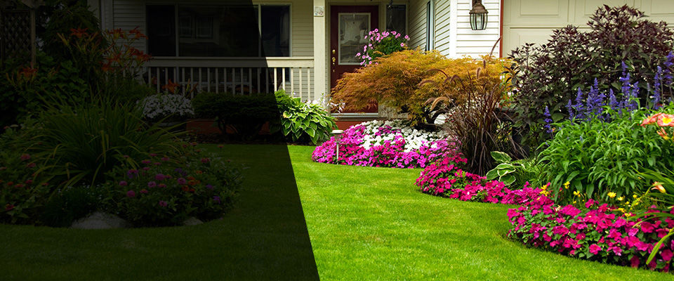 Walnut Creek Landscapers