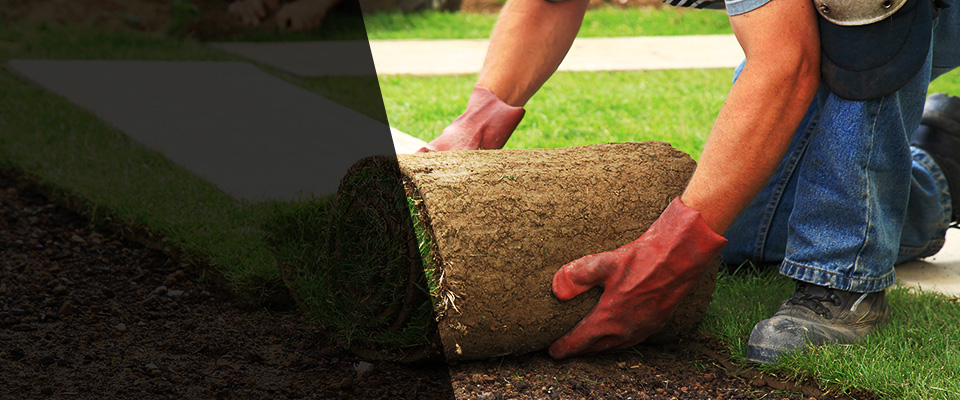 Walnut Creek Landscapers